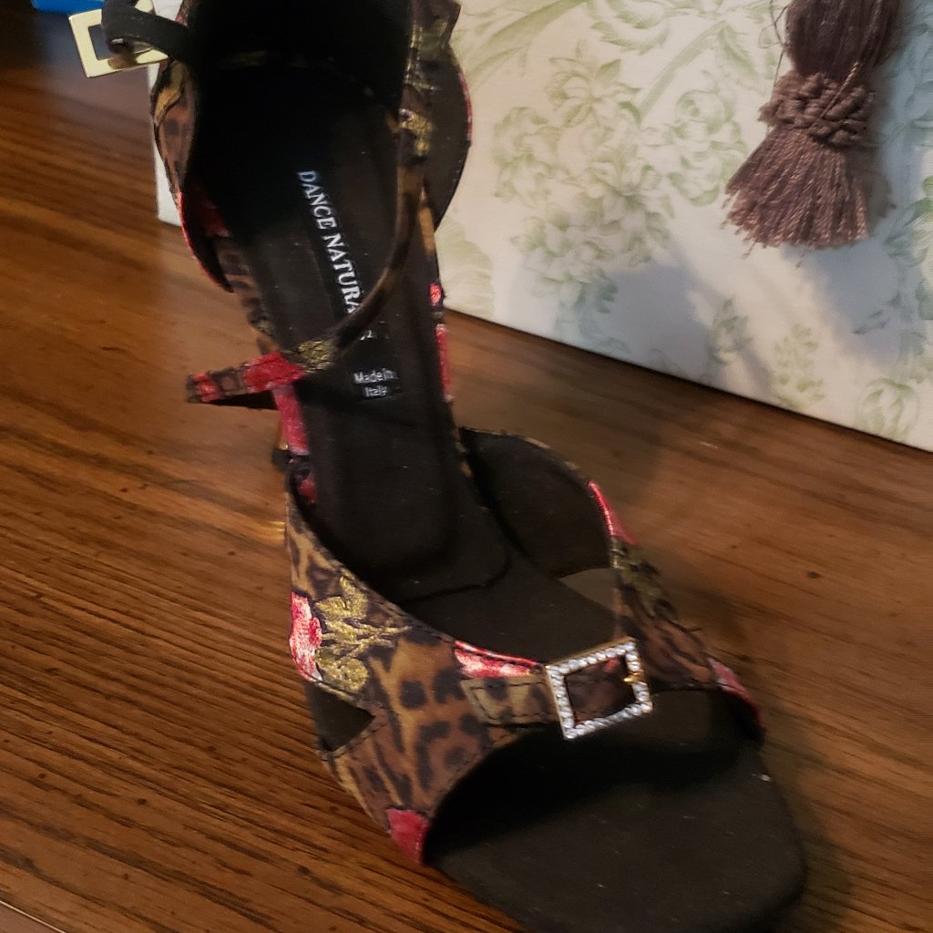 Italian Hand-Crafted Salsa Shoes - Stunning